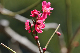 image0108