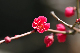 image0109