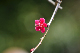 image0110