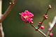 image0113