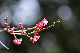 image0116
