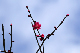 image0119