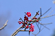 image0120