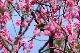 image0127