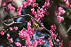 image0132