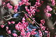 image0133