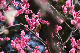 image0134