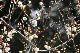 image0135
