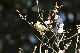image0140