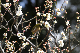 image0142