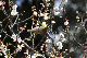 image0143