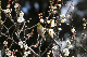 image0144