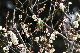 image0145