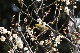 image0146