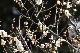 image0147
