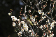 image0148