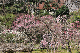image0155