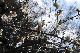 image0156