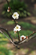 image0162
