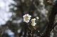 image0163