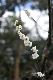 image0167