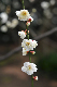 image0168