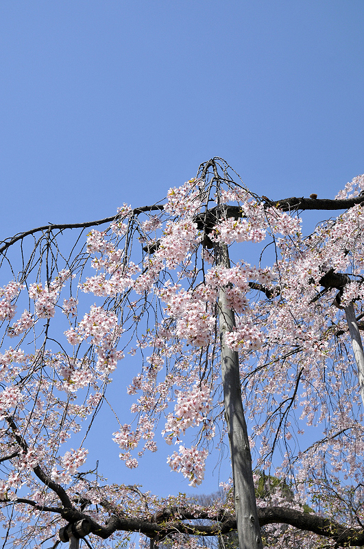 image0104