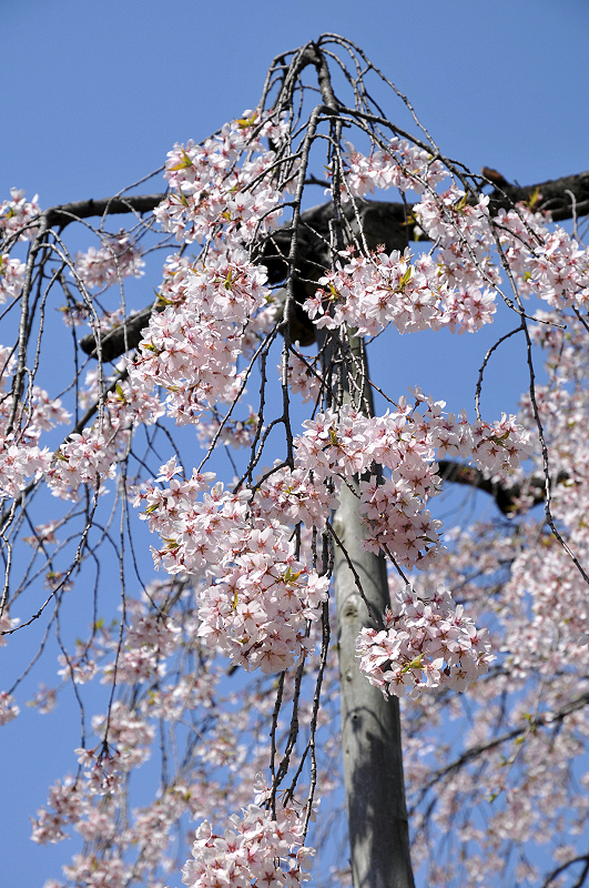 image0106