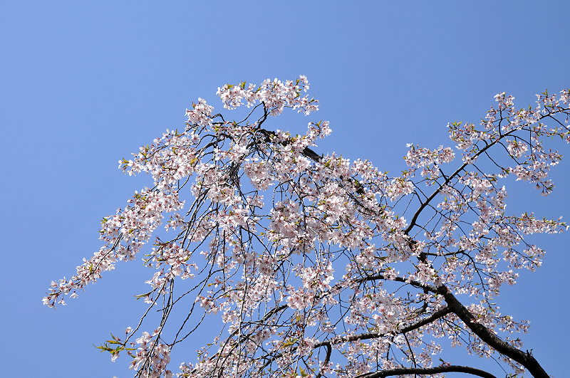 image0107