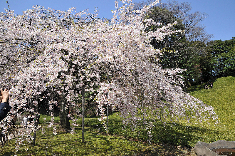 image0120