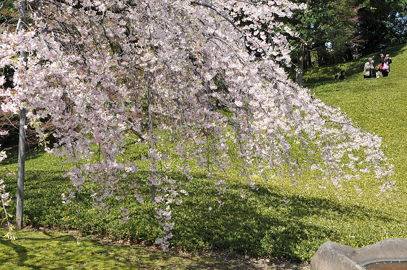 image0121
