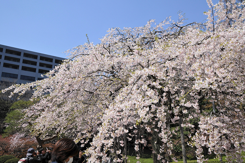 image0122