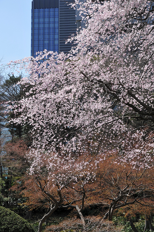 image0127