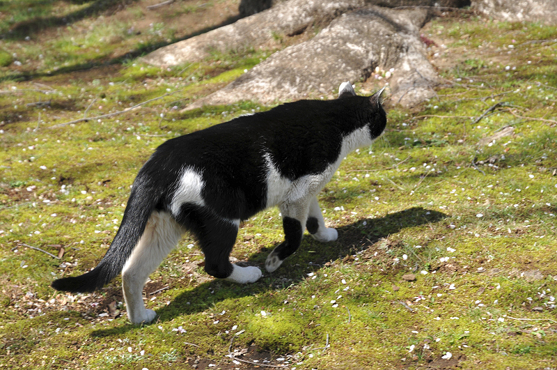 image0128