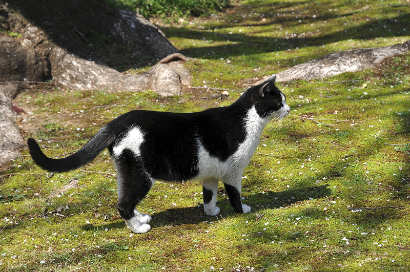 image0129