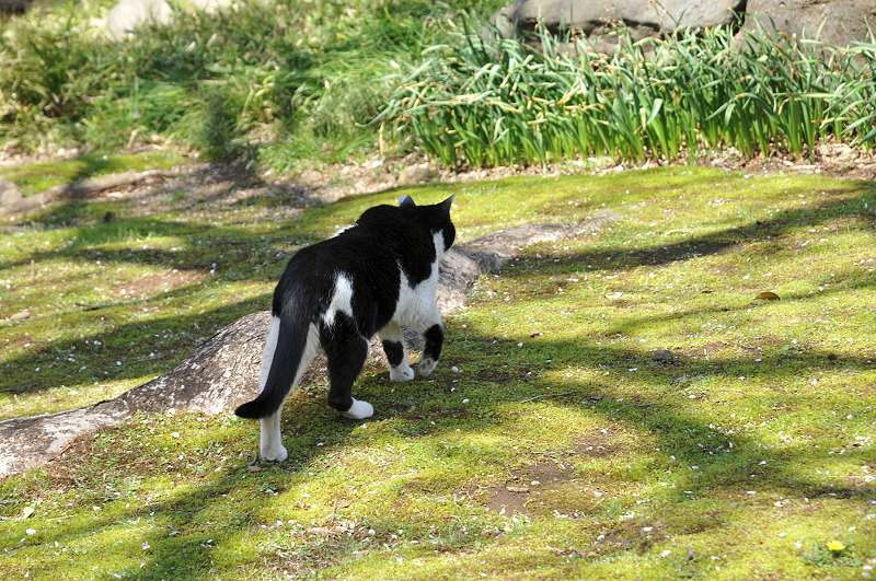 image0130