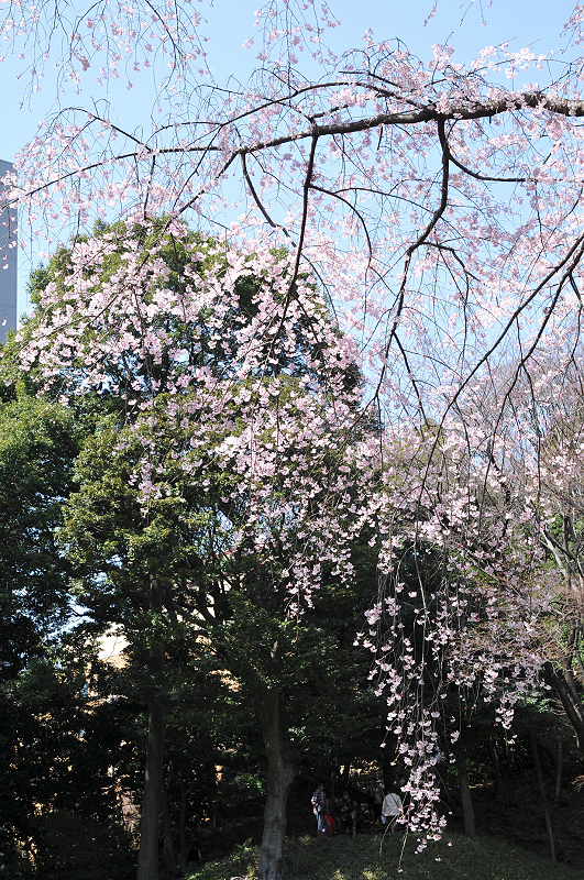image0132