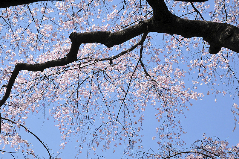 image0133