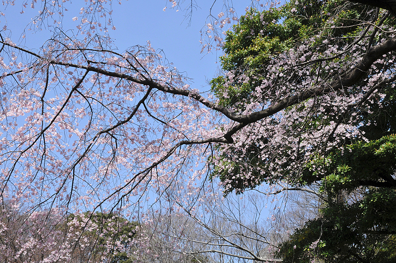 image0134