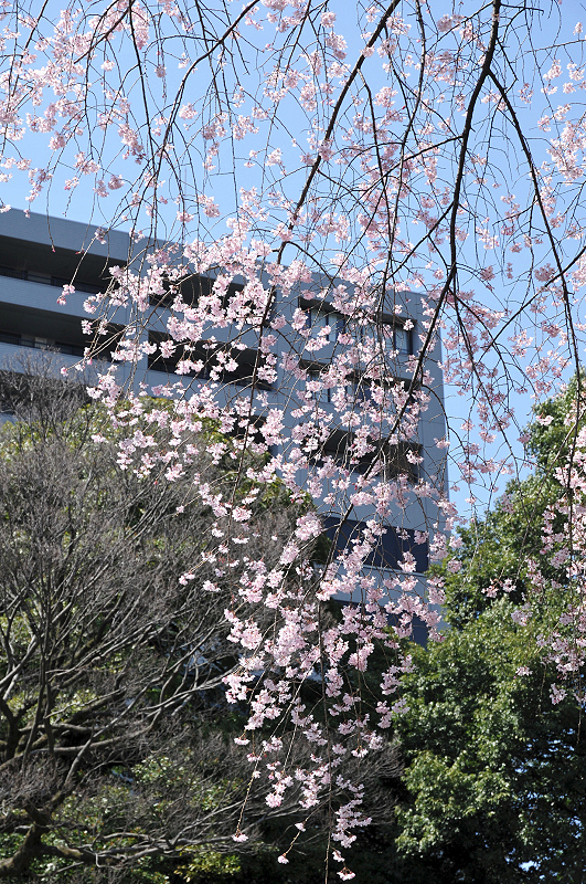 image0135
