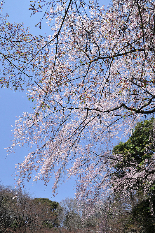 image0137
