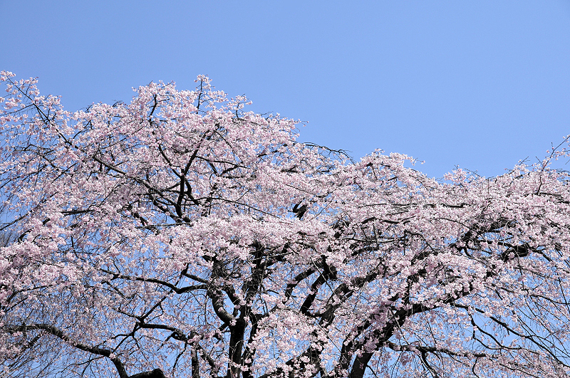 image0142