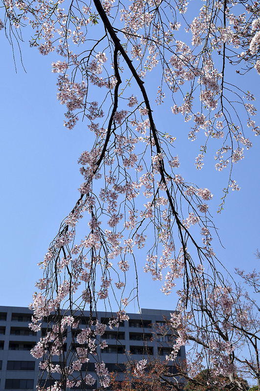 image0170