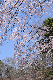 image0139