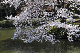 image0165