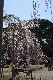 image0171