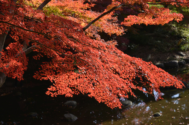 image0130