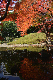 image0163