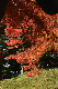image0168