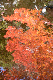 image0169